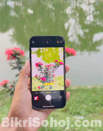 i phone 12 pro